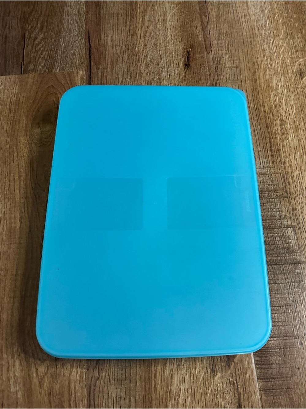 Vintage Tupperware Freezer Mates Shallow Rectangular Blue Storage 5.5 Cups